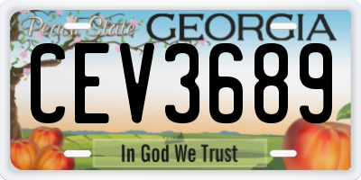 GA license plate CEV3689