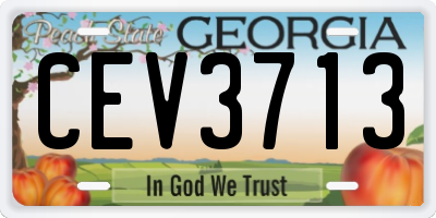 GA license plate CEV3713