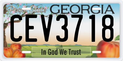 GA license plate CEV3718