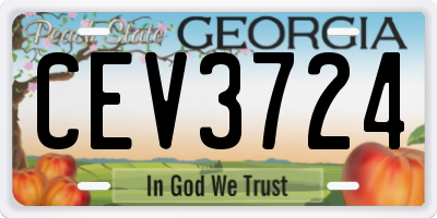 GA license plate CEV3724