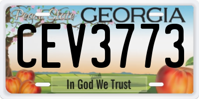 GA license plate CEV3773