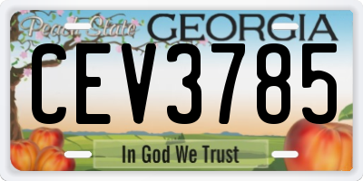 GA license plate CEV3785