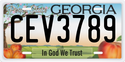 GA license plate CEV3789