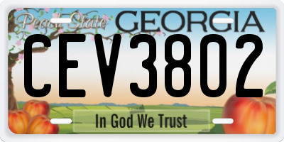 GA license plate CEV3802