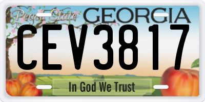GA license plate CEV3817