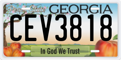 GA license plate CEV3818
