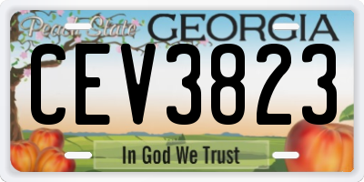 GA license plate CEV3823
