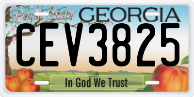 GA license plate CEV3825