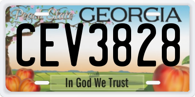 GA license plate CEV3828