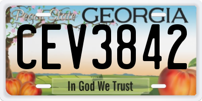 GA license plate CEV3842