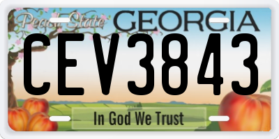 GA license plate CEV3843