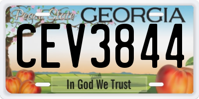 GA license plate CEV3844