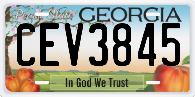 GA license plate CEV3845