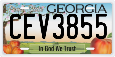 GA license plate CEV3855