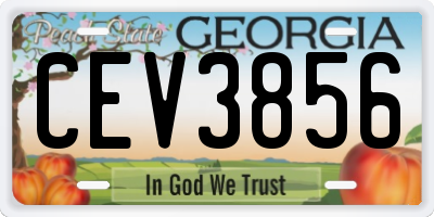 GA license plate CEV3856