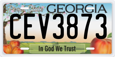 GA license plate CEV3873