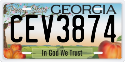 GA license plate CEV3874