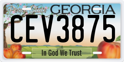 GA license plate CEV3875