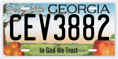 GA license plate CEV3882