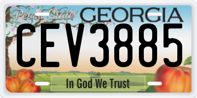 GA license plate CEV3885
