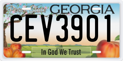 GA license plate CEV3901