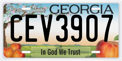 GA license plate CEV3907