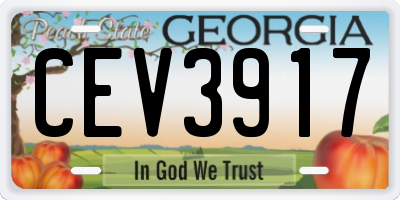 GA license plate CEV3917