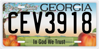 GA license plate CEV3918