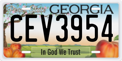 GA license plate CEV3954