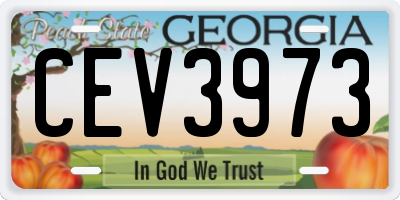 GA license plate CEV3973