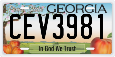 GA license plate CEV3981