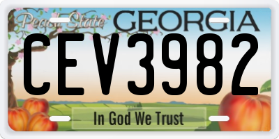 GA license plate CEV3982