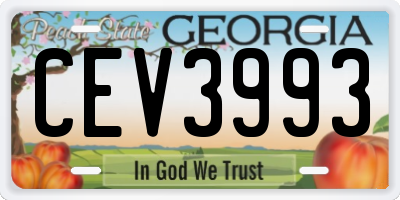 GA license plate CEV3993