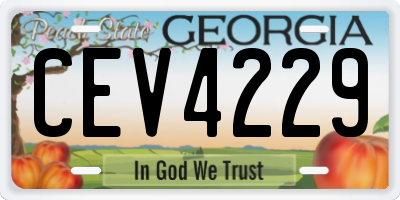GA license plate CEV4229