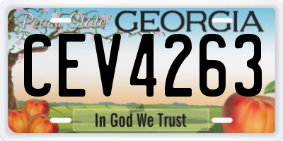 GA license plate CEV4263