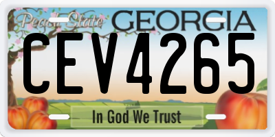 GA license plate CEV4265