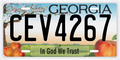 GA license plate CEV4267