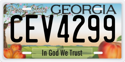 GA license plate CEV4299