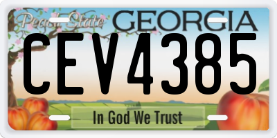 GA license plate CEV4385