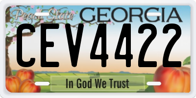 GA license plate CEV4422