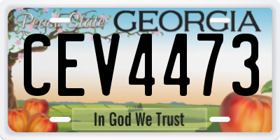 GA license plate CEV4473