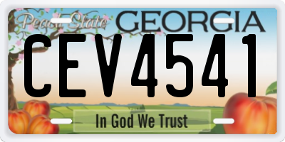 GA license plate CEV4541