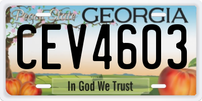 GA license plate CEV4603