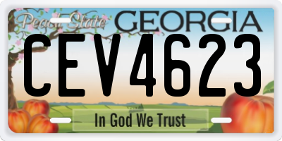 GA license plate CEV4623
