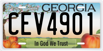 GA license plate CEV4901