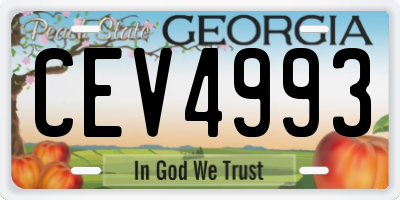 GA license plate CEV4993