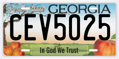 GA license plate CEV5025