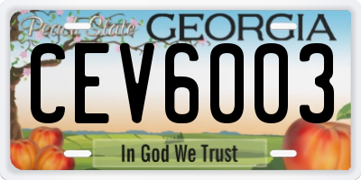 GA license plate CEV6003