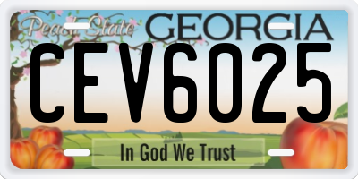 GA license plate CEV6025