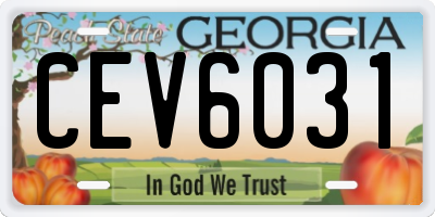 GA license plate CEV6031